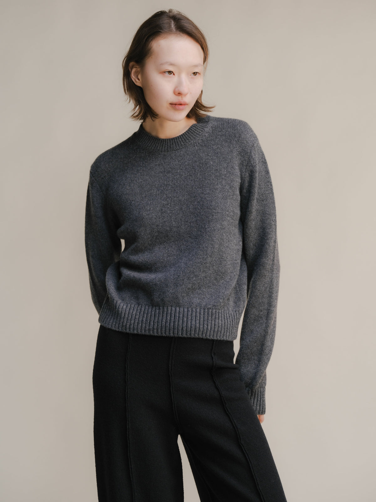 The Pure Cashmere Crewneck