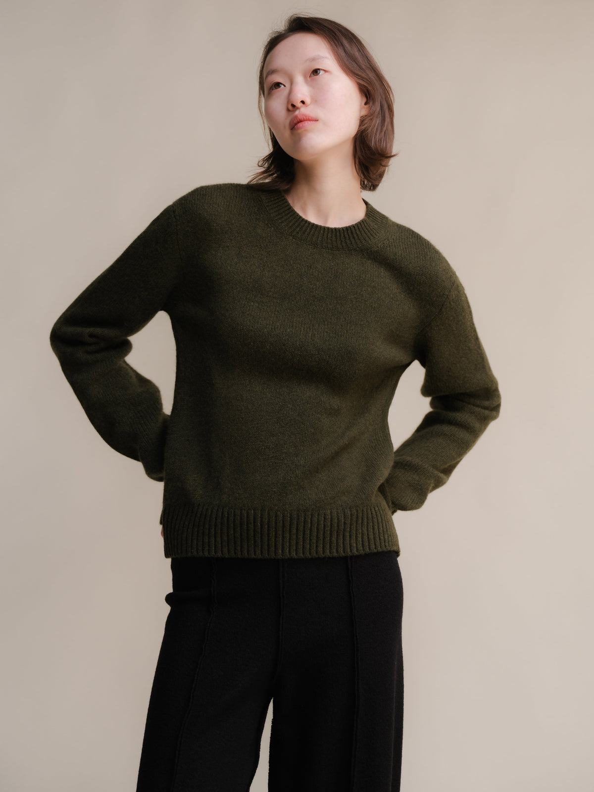 The Pure Cashmere Crewneck