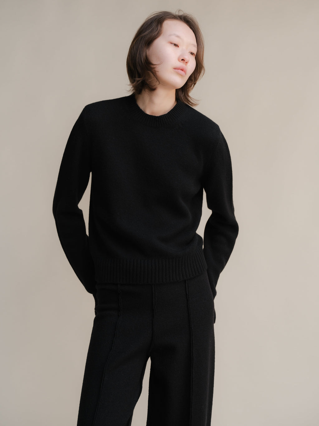 The Pure Cashmere Crewneck